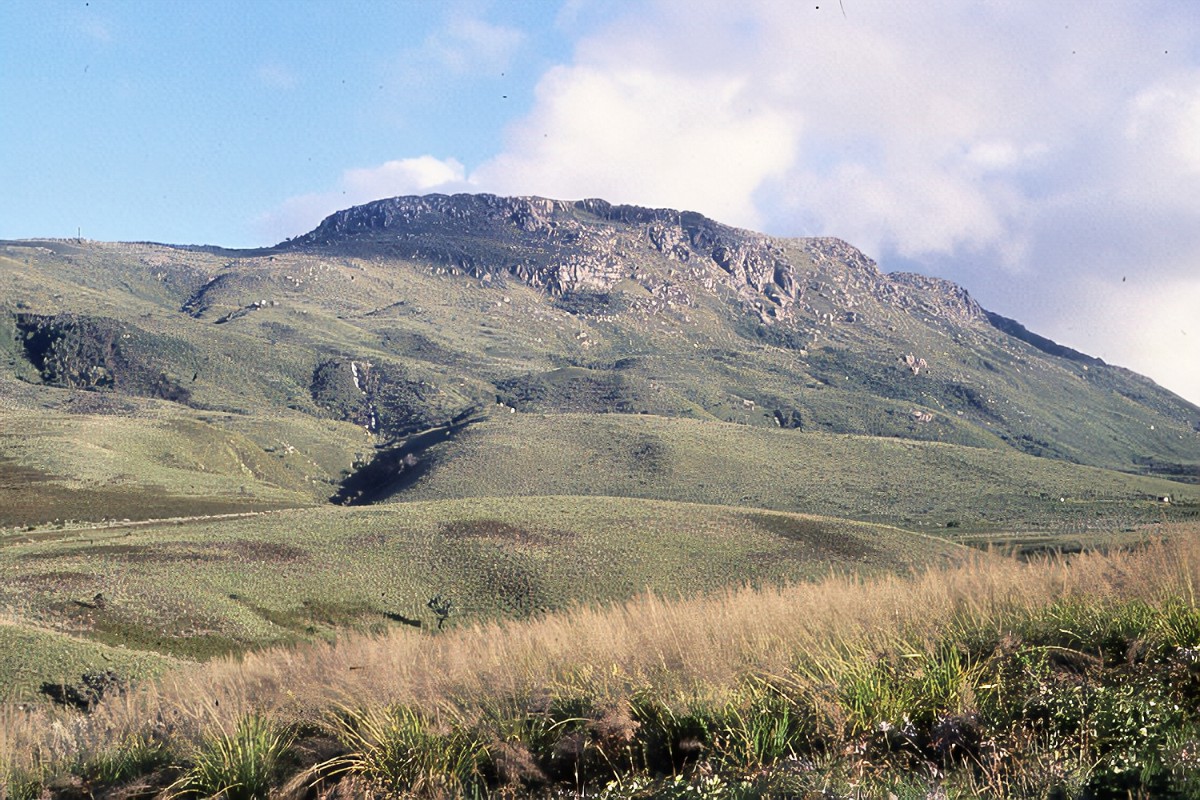 Hora Nyangani
